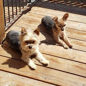 Meet your Posher, Cathy